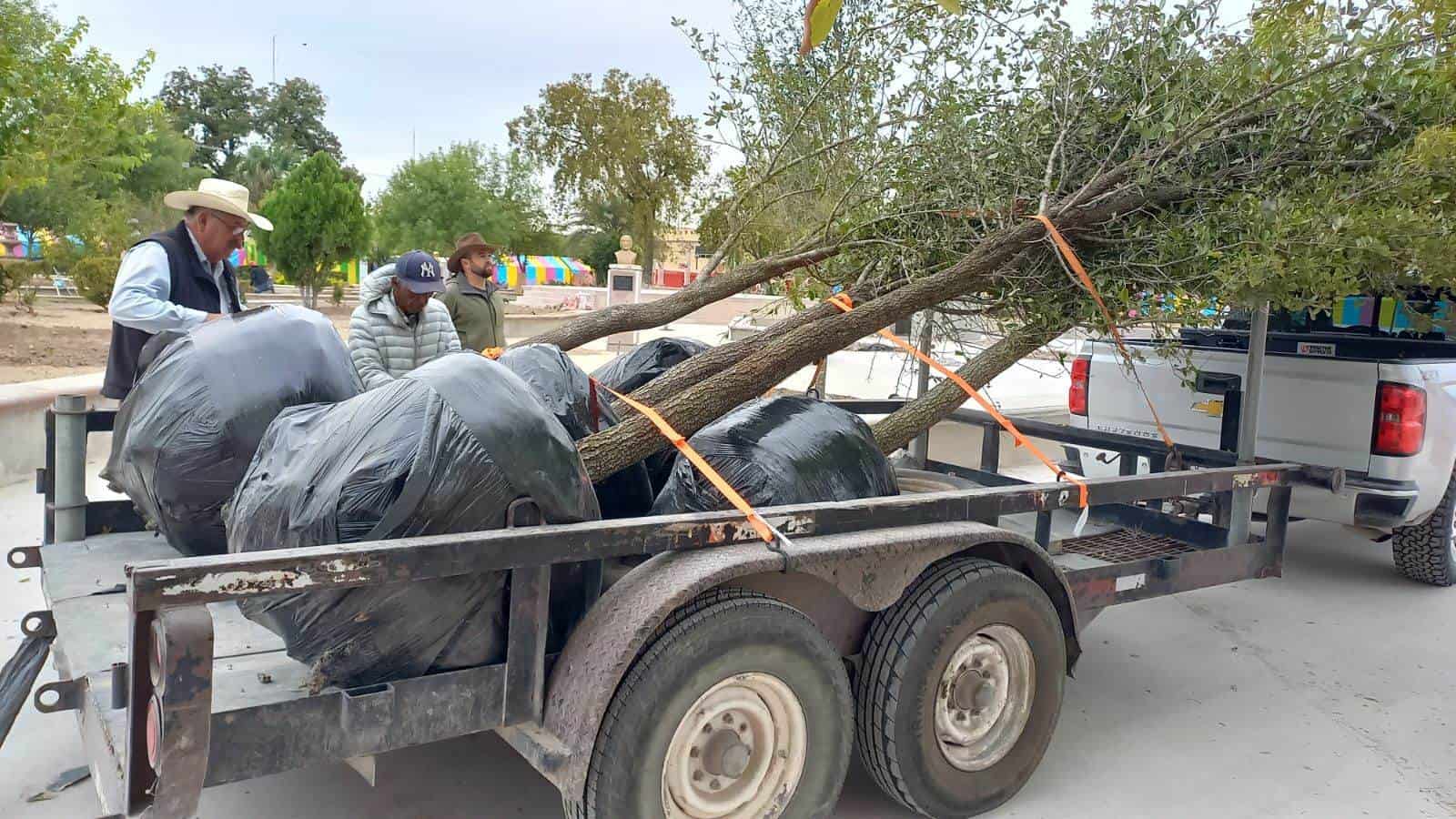 Avanza remodelación ecológica en la Plaza Benjamín Canales de Ciudad Acuña