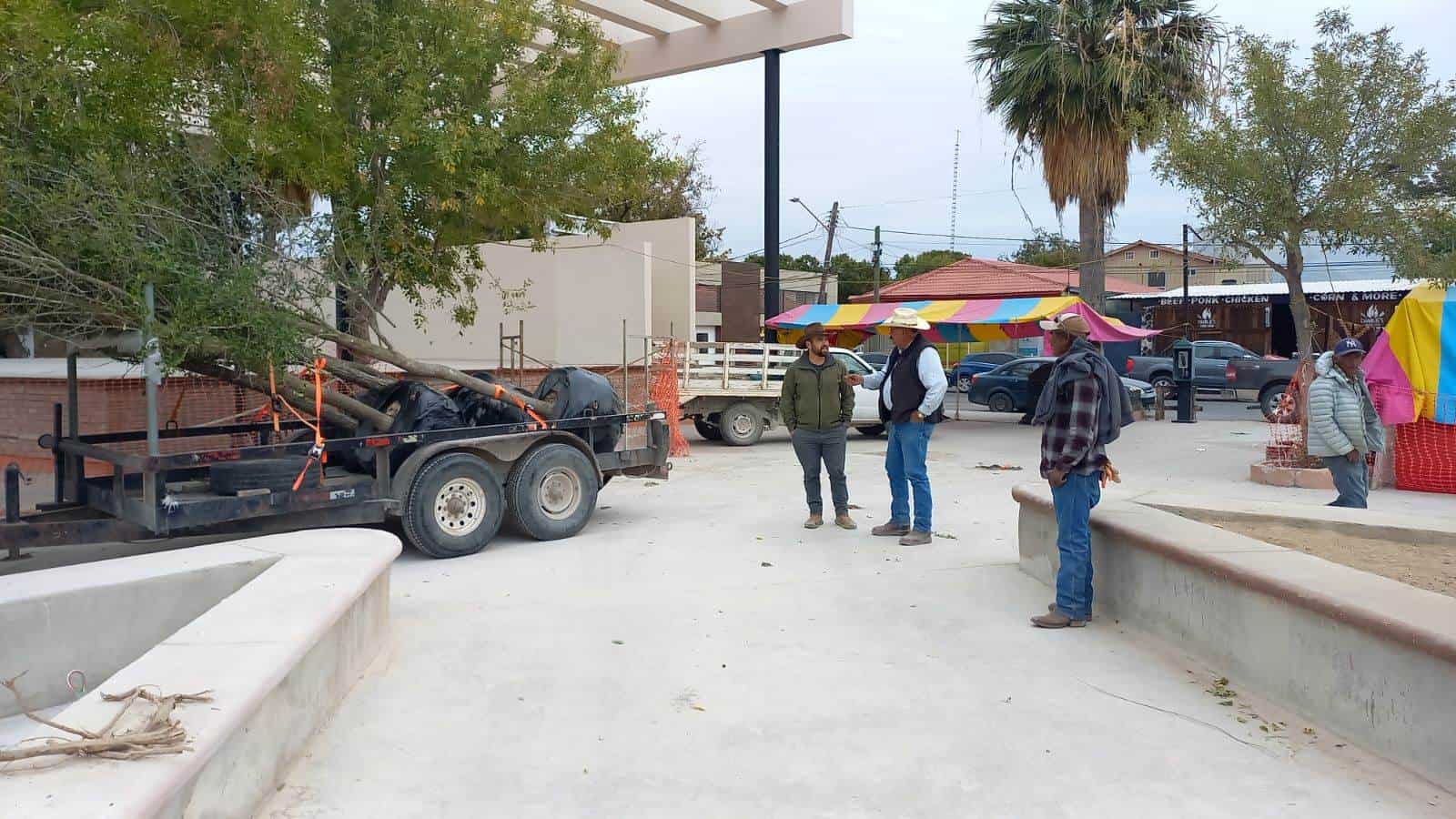 Avanza remodelación ecológica en la Plaza Benjamín Canales de Ciudad Acuña