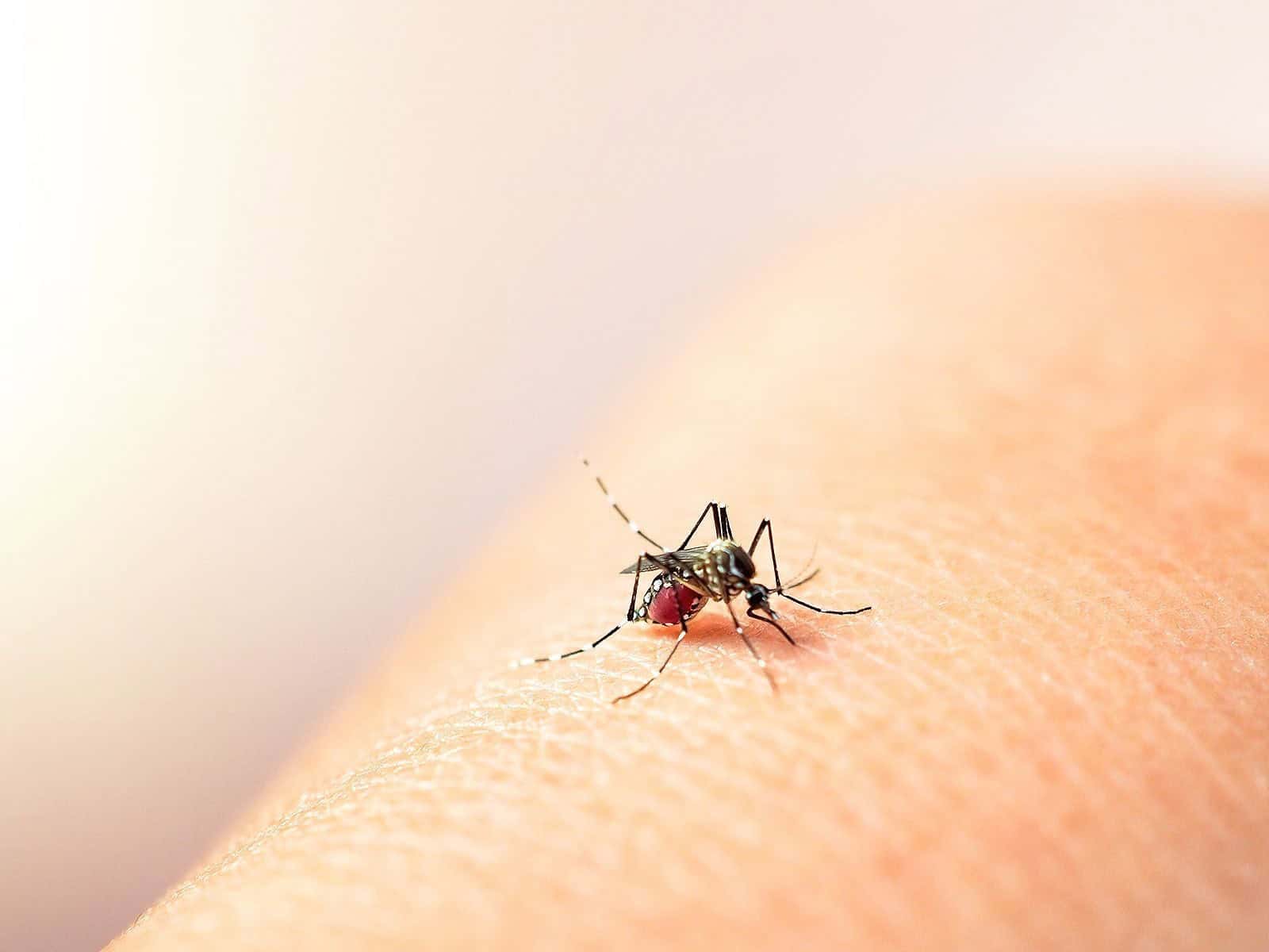 Presunta muerte por dengue de propietaria de salones de fiestas alerta a Monclova.