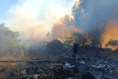 Incendian Basura Y Un Sabino Cerca Del Río