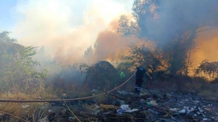 Incendian Basura Y Un Sabino Cerca Del Río