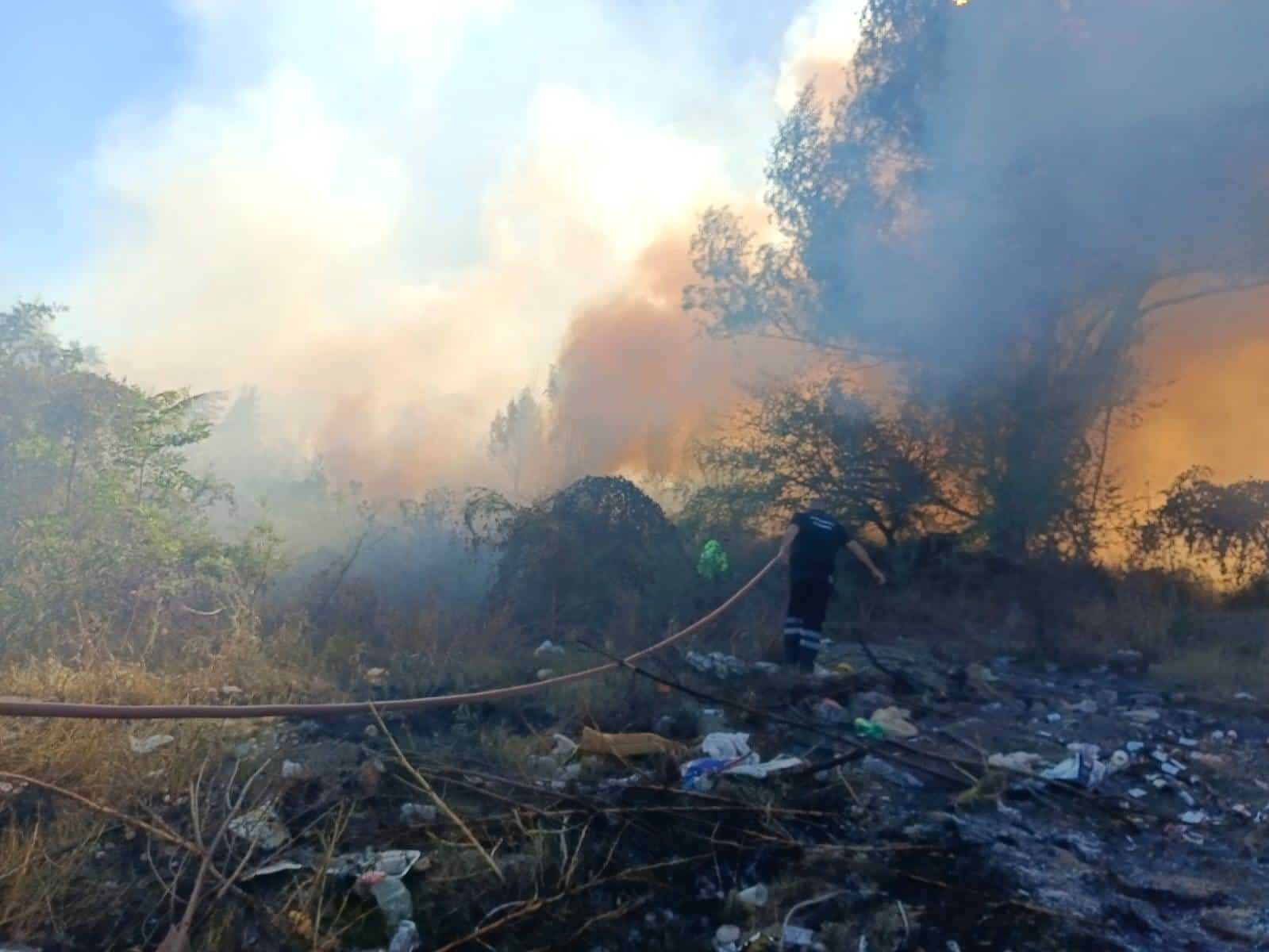Incendian Basura Y Un Sabino Cerca Del Río