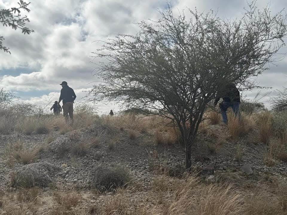 Localizan RESTOS BIOLÓGICOS en el Pico del Águila 