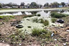 Casos de Dengue a la Baja en la Región: Cierra Semana Epidemiológica sin Hospitalizaciones