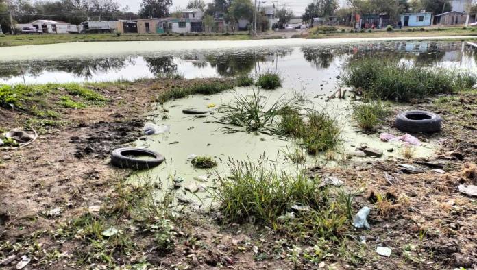 Casos de Dengue a la Baja en la Región: Cierra Semana Epidemiológica sin Hospitalizaciones