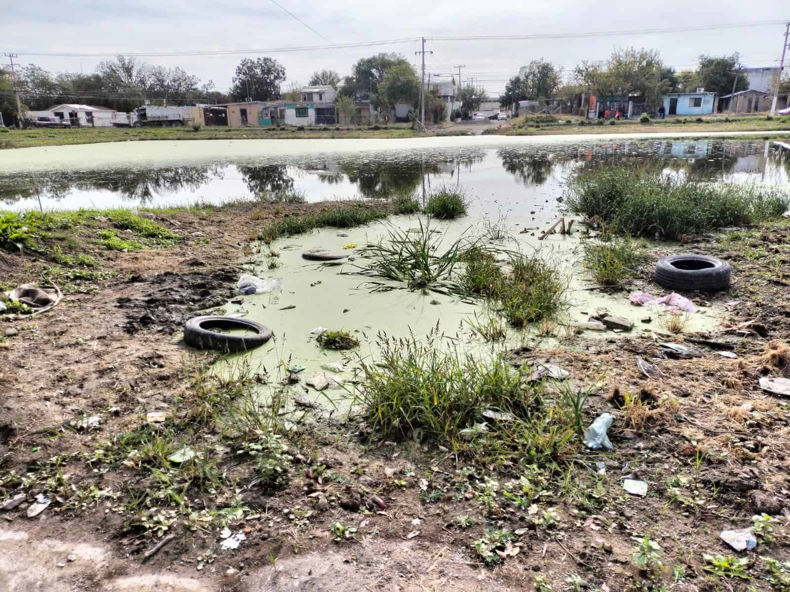 Casos de Dengue a la Baja en la Región: Cierra Semana Epidemiológica sin Hospitalizaciones