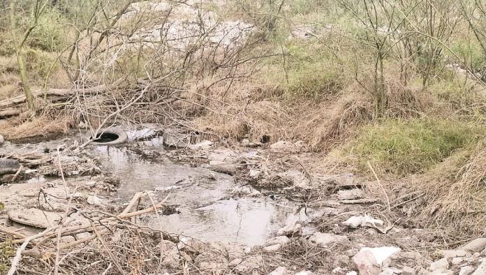 Denuncian vecinos una laguna de aguas negras