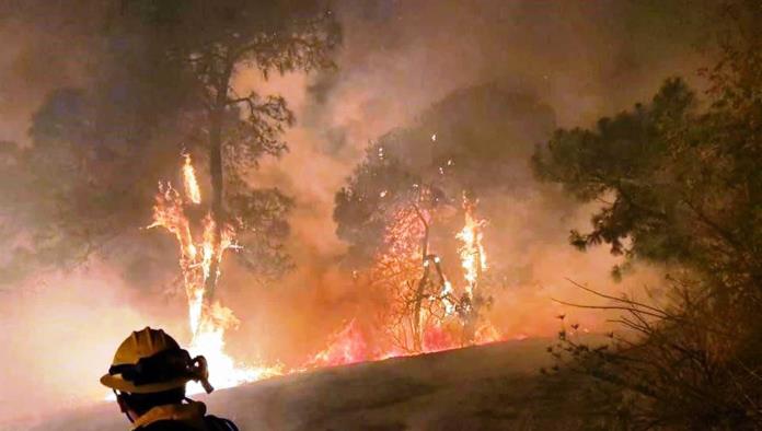 No hubo incendios de alto impacto, en Arteaga