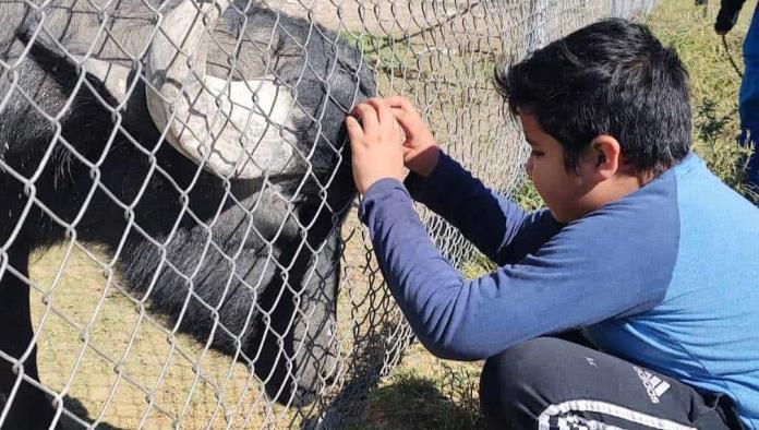 Esperan visitas en parques de Monclova