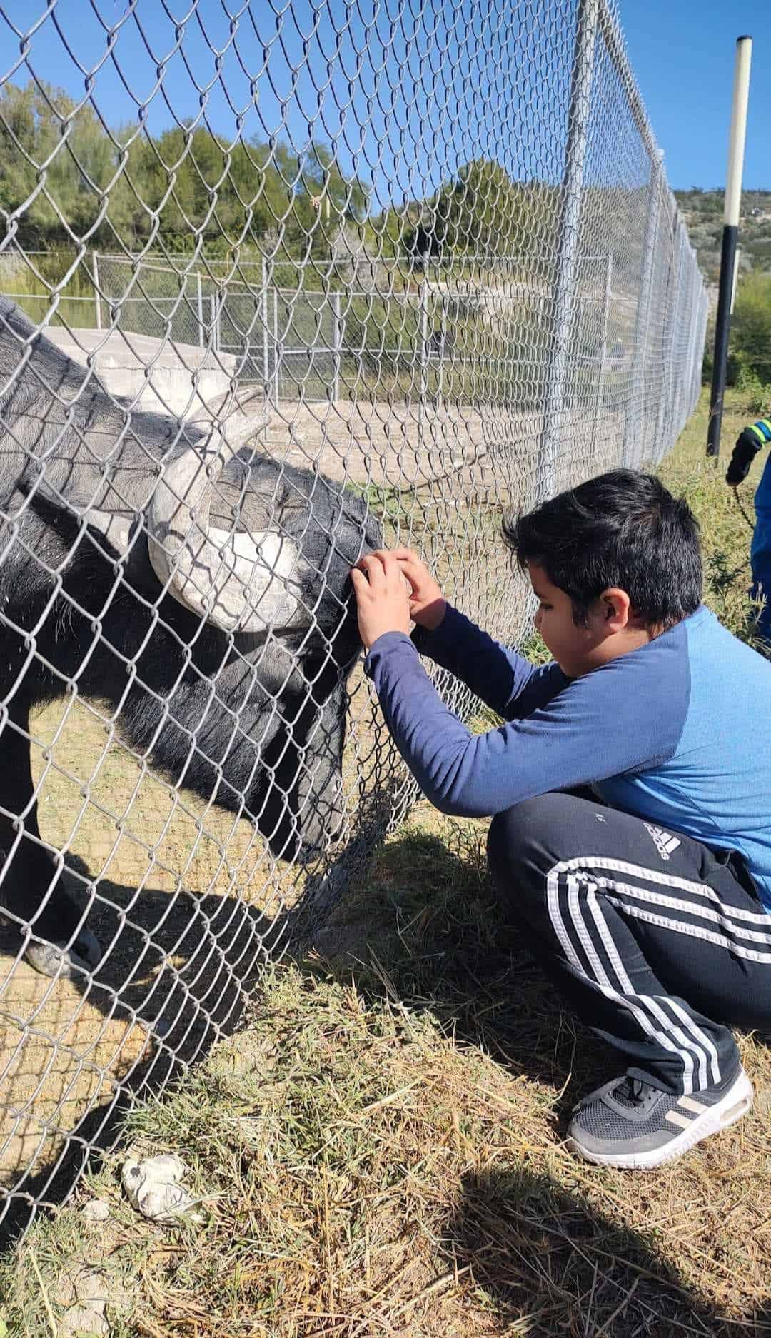 Se ofrecen alternativas para que los vacacionistas disfruten de Monclova.
