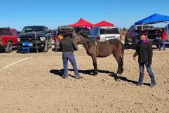 Éxito en carrera de caballos para apoyar escuelas de Villa Unión