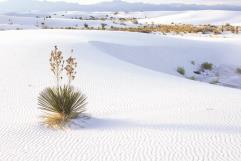 Cierra Ciénegas 2024 como destino preferido