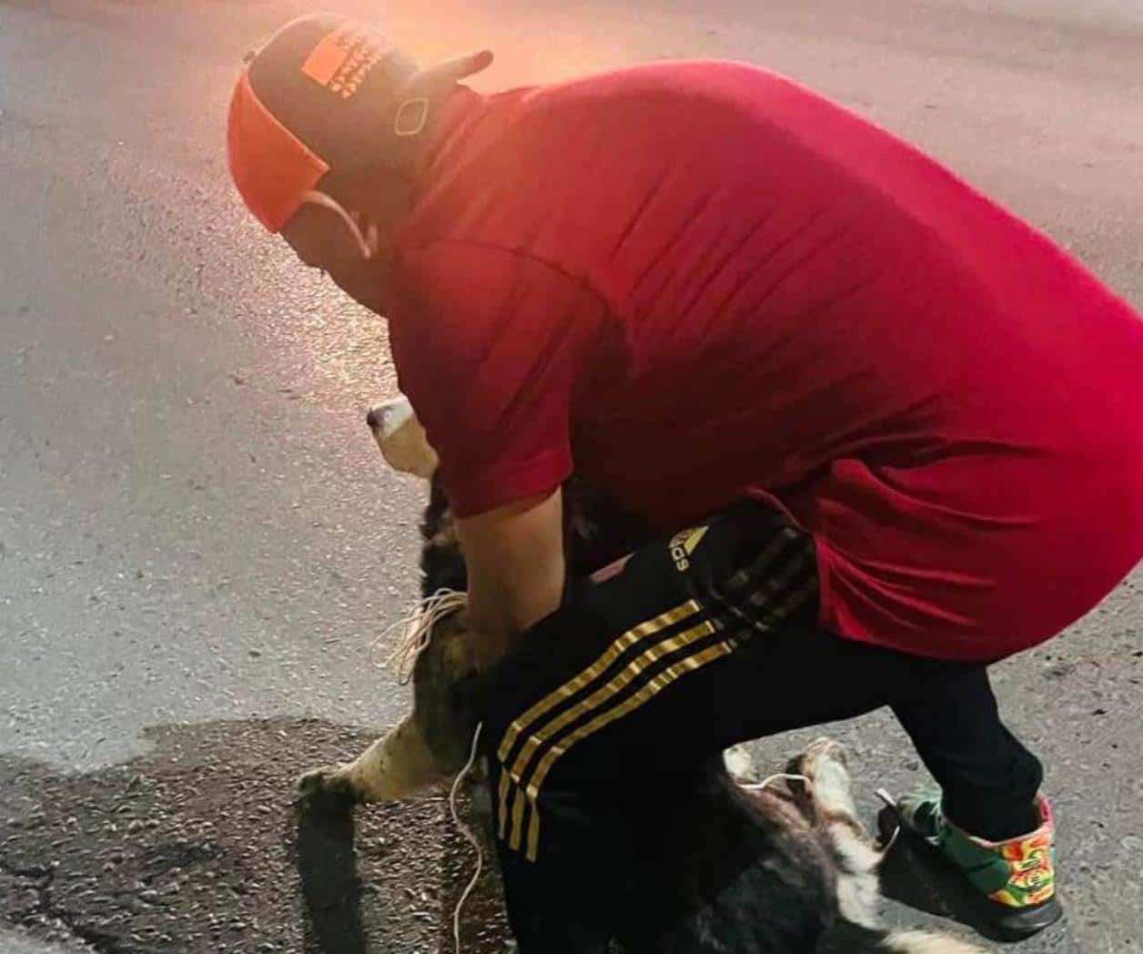 Ciudadanos rescatan a perrito tras aventarse del puente a desnivel en Frontera