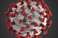 China pide calma por brote de metapneumovirus humano