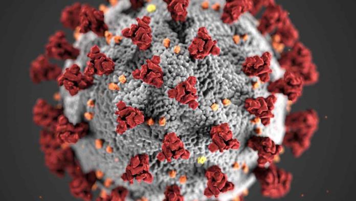 China pide calma por brote de metapneumovirus humano