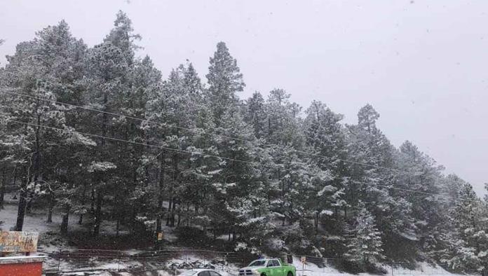 Se acerca la segunda tormenta invernal: Esperan heladas