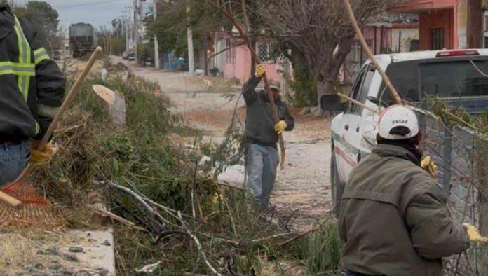 Intensifican trabajos de limpieza en Sabinas