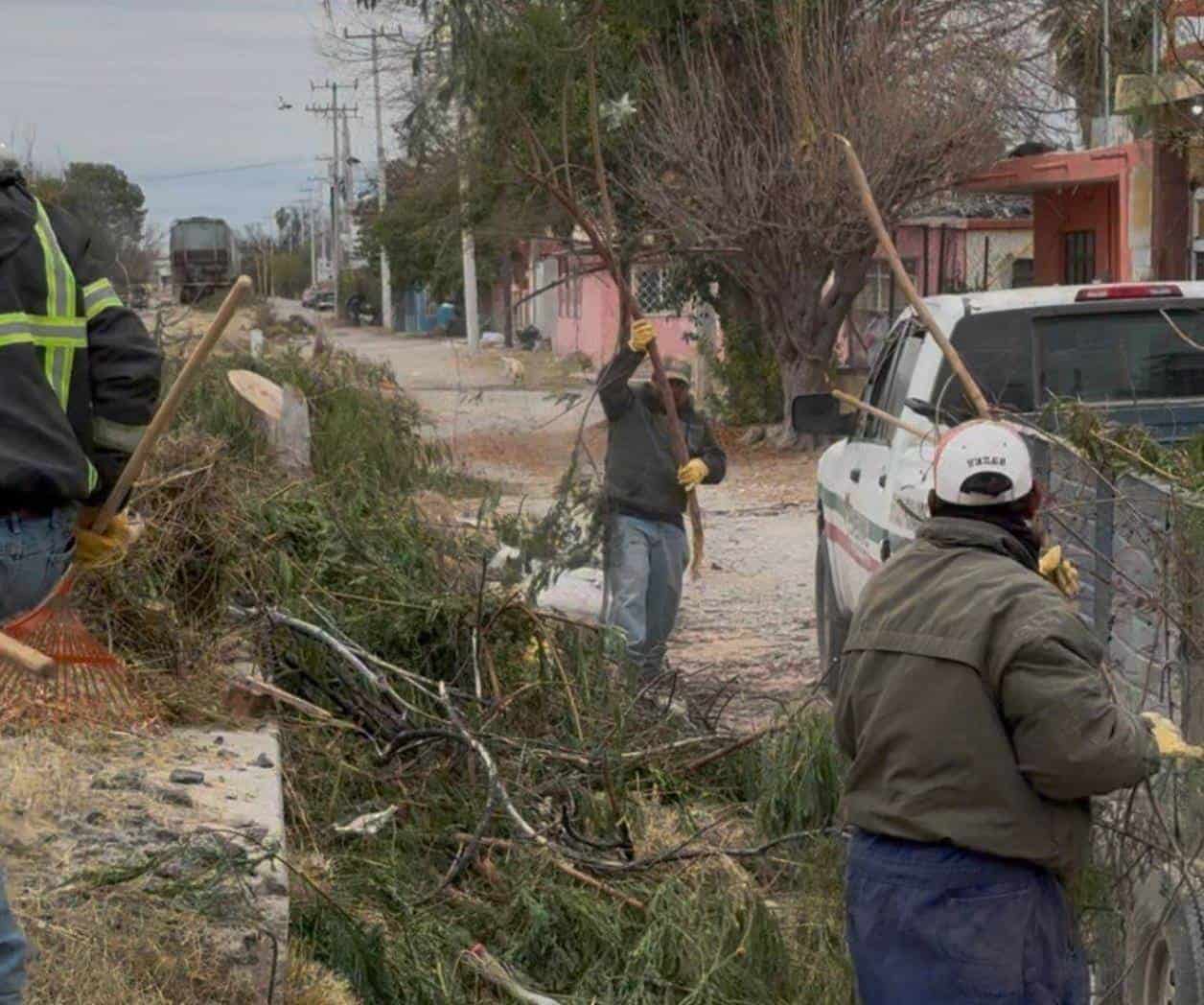 Intensifican trabajos de limpieza en Sabinas