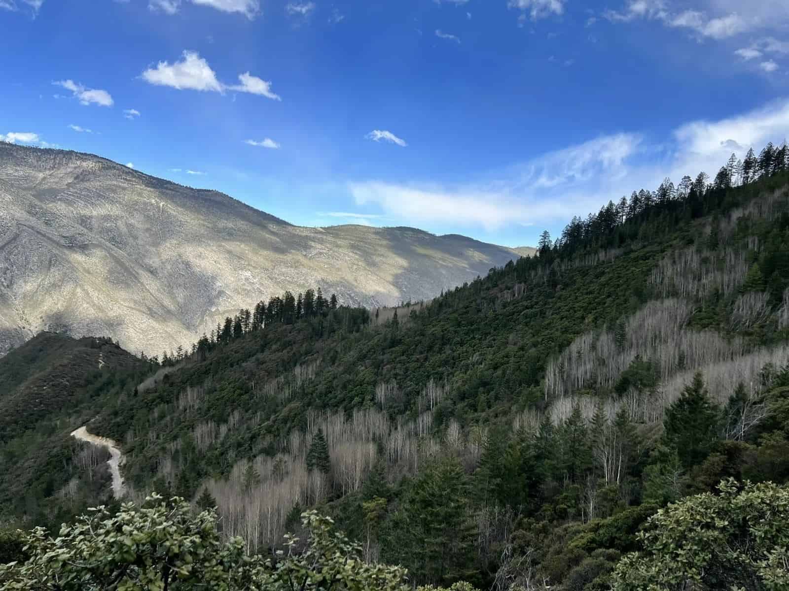 Desmienten nevadas en Sierra de Arteaga