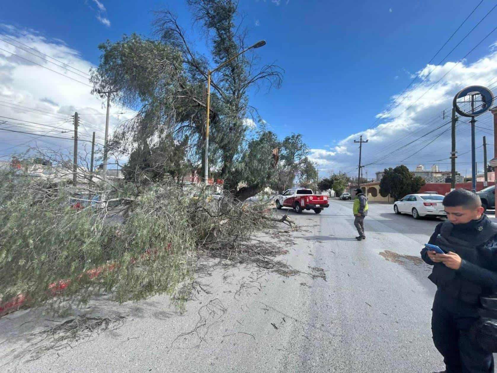 Deja viento y lluvia daños en la capital