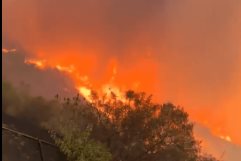 Incendios en California ya son los más costosos de Estados Unidos