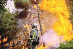 Registra Coahuila menos incendios