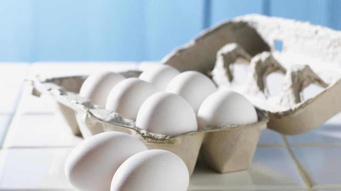 Industria alimentaria: Cómo las proteínas en polvo transforman las dietas Industria alimentaria: Cómo las proteínas en polvo transforman las dietas