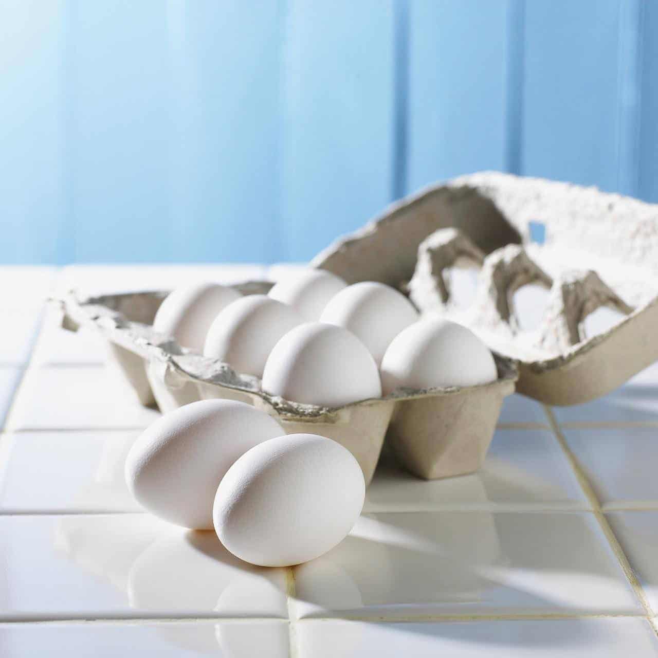 Industria alimentaria: Cómo las proteínas en polvo transforman las dietas