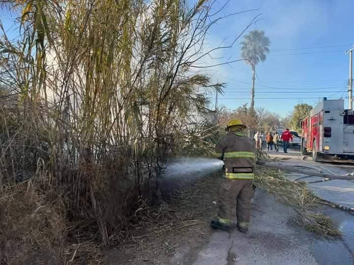 Controlan incendio en la carrizada del Pozo del Molino