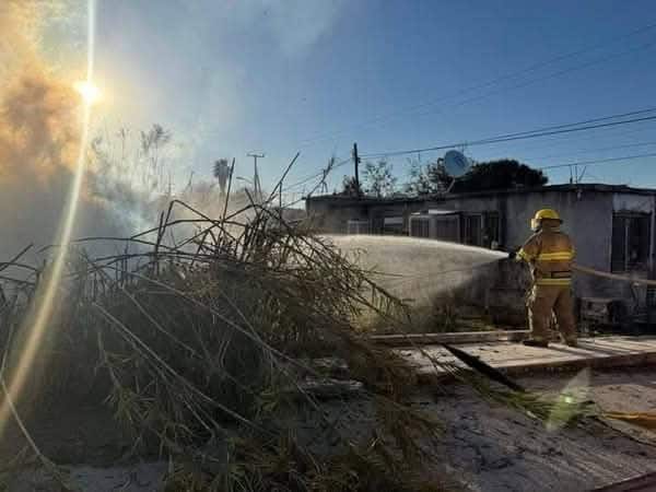 Controlan incendio en la carrizada del Pozo del Molino