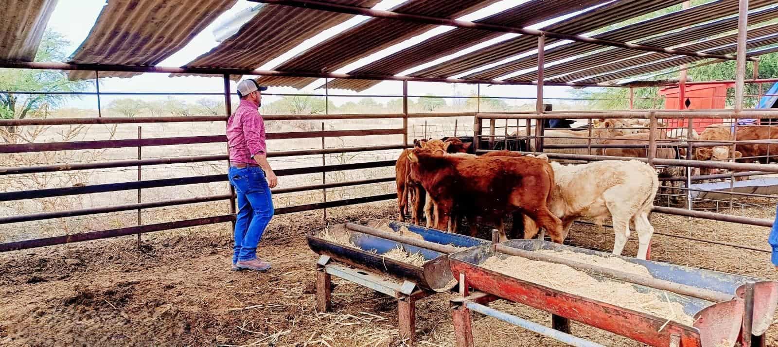 Invitan a ganaderos de Nava a registrar fierros de herrar