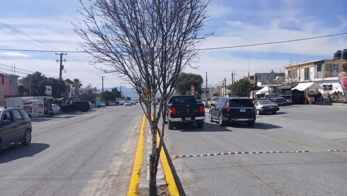 Desatienden forestación en camellones