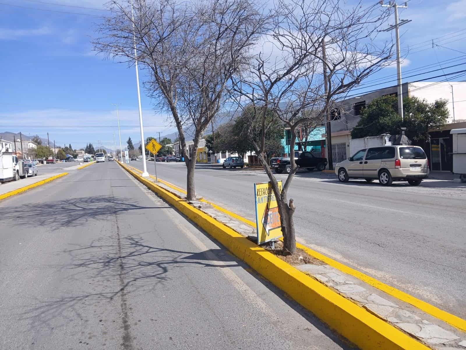 Desatienden forestación en camellones