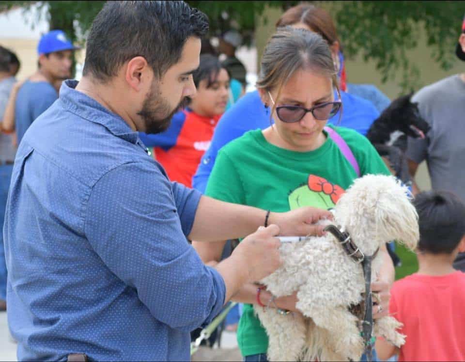 Alertan por aumento de parvovirus en perros en Nava