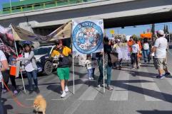 Marchan en Saltillo por derechos animales