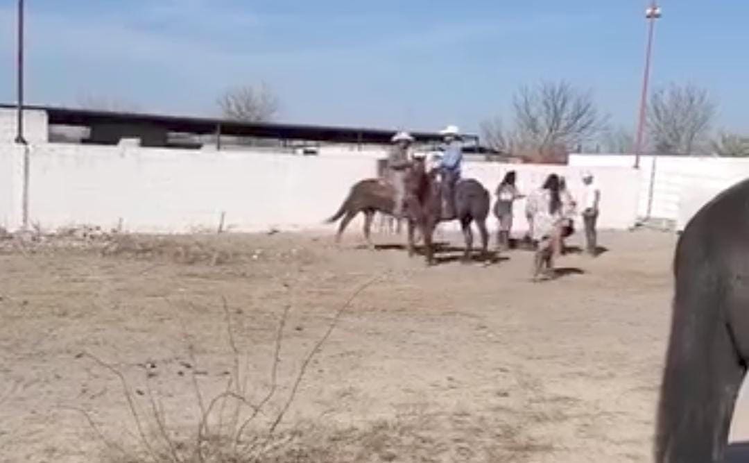 Riñas y accidentes marcan la Cabalgata de Zaragoza