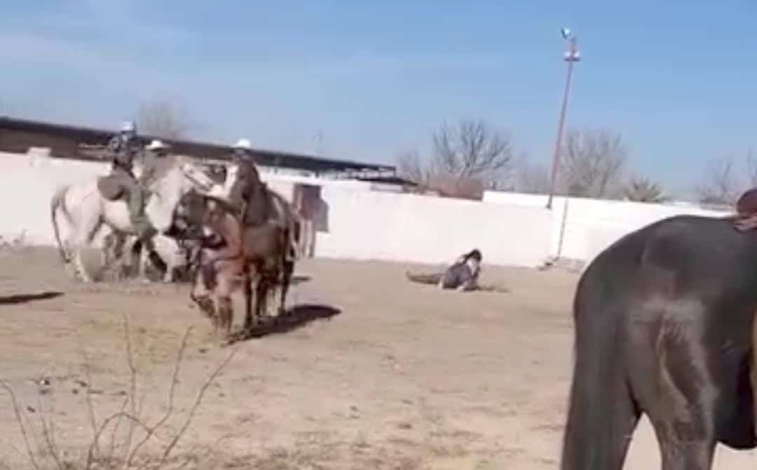 Riñas y accidentes marcan la Cabalgata de Zaragoza