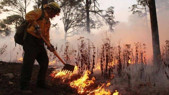 Contratarán helicóptero para combatir incendios