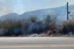 Provoca incendio tala clandestina