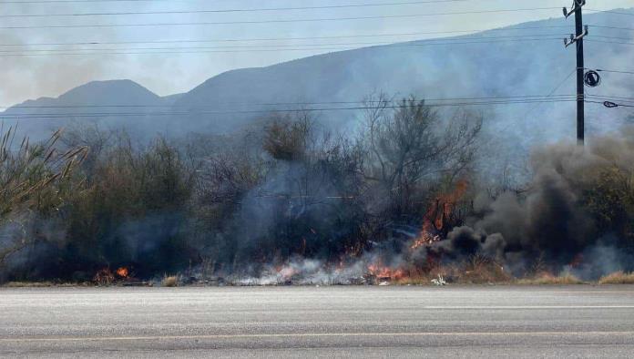 Provoca incendio tala clandestina