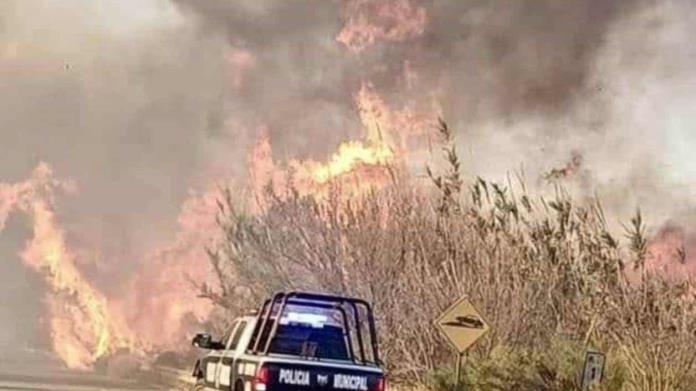 Denuncia Casa Madero que incendio fue provocado Denuncia Casa Madero que incendio fue provocado