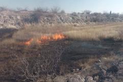 Controlan incendio de matorrales en Allende