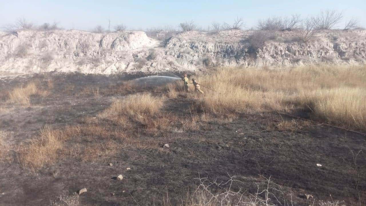 Controlan incendio de matorrales en Allende