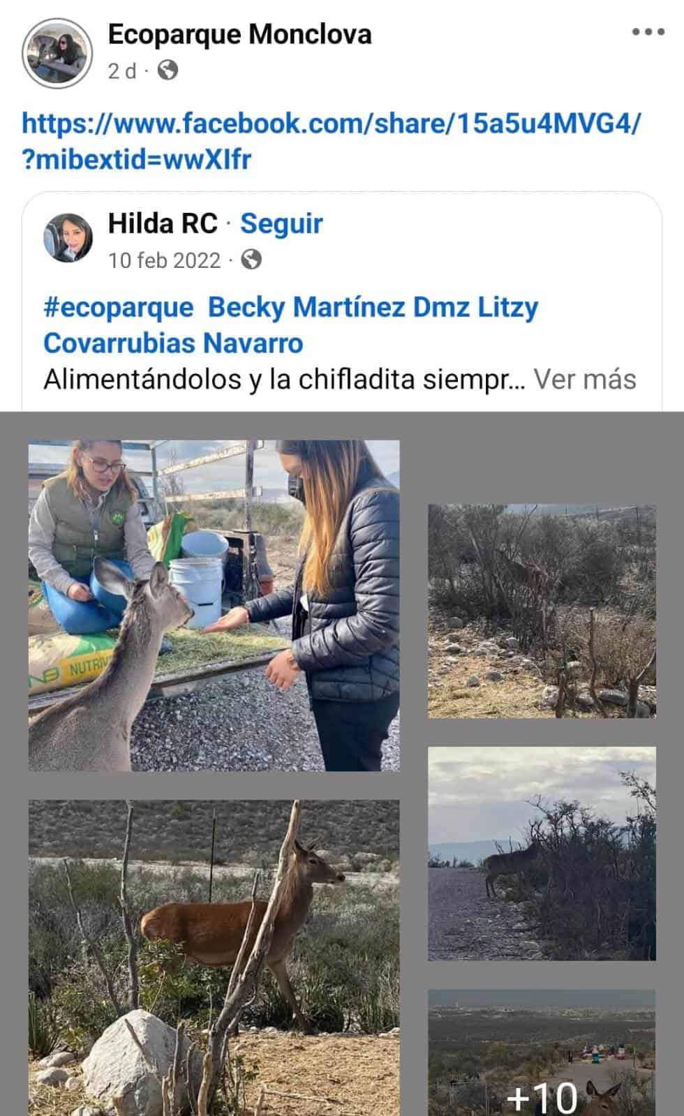 Se adueña ex directora de página del Ecoparque