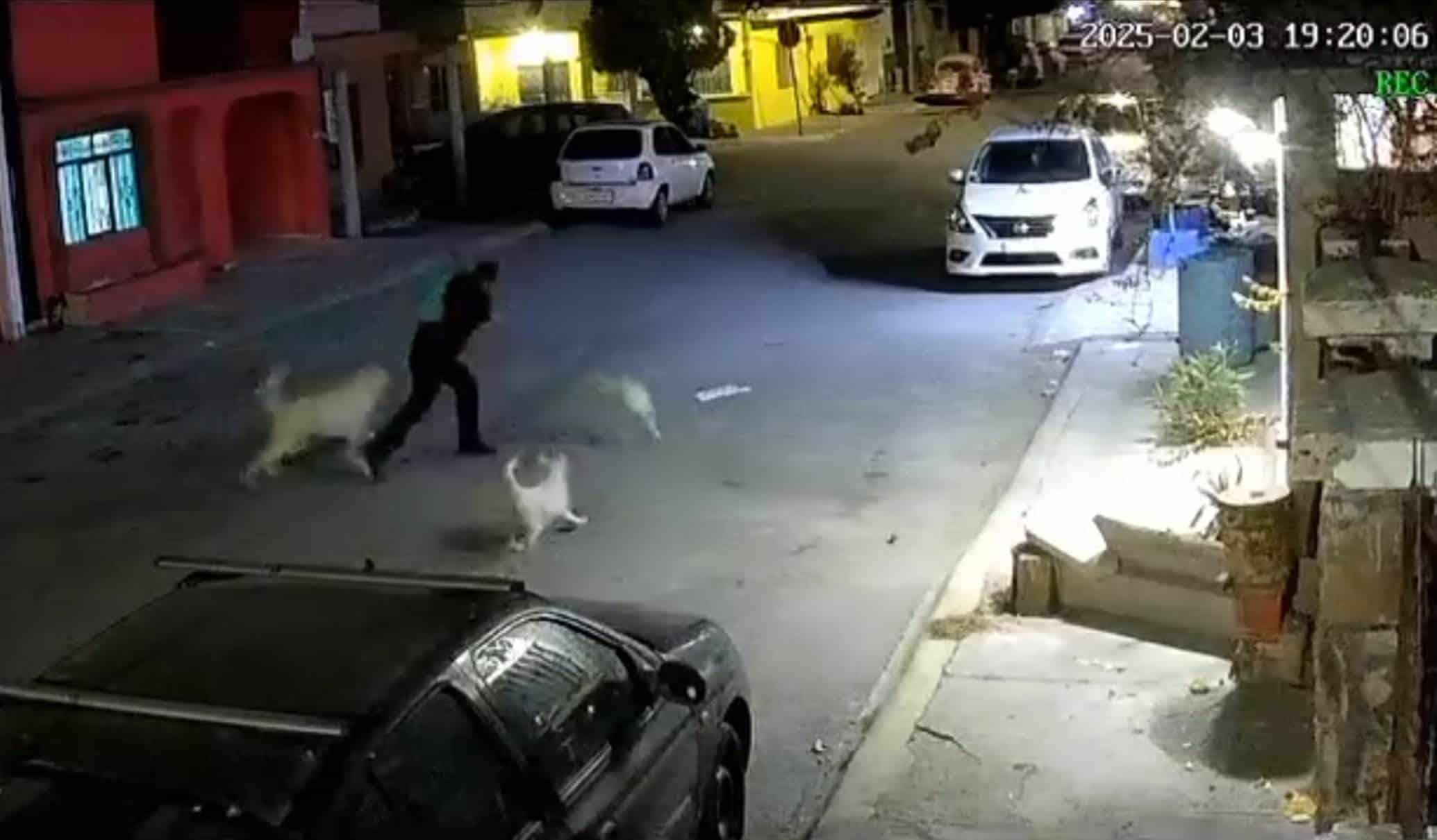 Se hace viral video de maltrato animal