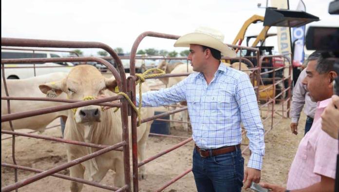 Reanudarán exportación de ganado por Piedras Negras