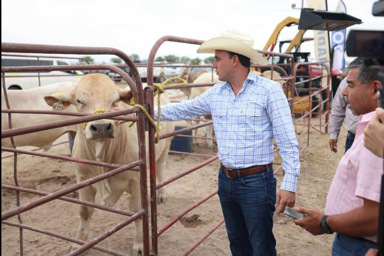 Reanudarán exportación de ganado por Piedras Negras