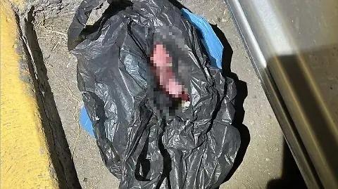 Bebé abandonado en Tultitlán permanece bajo observación médica en el ISSSTE Bebé abandonado en Tultitlán permanece bajo observación médica en el ISSSTE