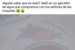 Regulación Sanitaria atentos por presunta presencia de larvas en garrafones de agua en PN