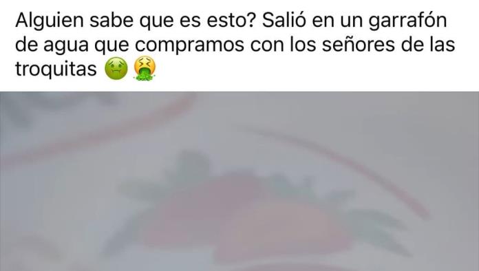 Regulación Sanitaria atentos por presunta presencia de larvas en garrafones de agua en PN